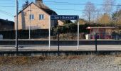 Percorso Marcia Assesse - Sart Bernard - Andenne Rando 18 - Photo 14