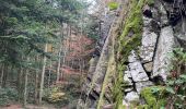 Excursión Senderismo Pélussin - Chemin du tacot au départ de Pélussin - Photo 5