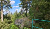 Trail Walking Saint-Dié-des-Vosges - col de la Crenee roche corbeau camp Celtique  - Photo 10