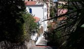 Tocht Stappen Banyuls-sur-Mer - Découverte de Banyuls  - Photo 11