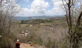 Randonnée Marche Anse d'Arlet - Gallochat - parcour sportif  - Photo 1