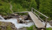 Tocht Stappen Val-d'Isère - Forêt du Fornet - Photo 3