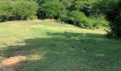 Trail Nordic walking Sainte-Anne - Mode - Photo 2