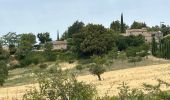 Trail Horseback riding Céreste - Provence 2025 J3 - Photo 11