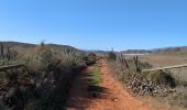 Tour Wandern Níjar - Los Albaricoques 1 - Photo 3