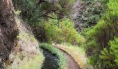 Trail Walking Calheta - chemin des cascades  - Photo 1
