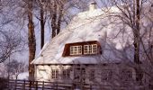 Tour Zu Fuß Kellenhusen - Wald- und Wellen-Route, Kellenhusen - Photo 7