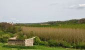 Tocht Stappen Vez - Vallée de l'automne - Photo 3