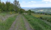 Trail Walking Solignat - PUY D'YSSON - Photo 16