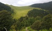 Randonnée Marche Prats-de-Mollo-la-Preste - pas sur - Photo 1