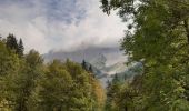 Tocht Stappen Lus-la-Croix-Haute - Vallon de Jarjatte - Photo 4