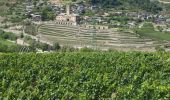 Randonnée Marche Aymavilles - vignes - Photo 1