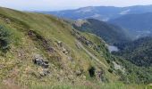 Trail Walking La Bresse - Le Hohneck et ses lacs d'altitude - Photo 4