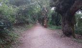 Tour Wandern Sarria - 2023 26 porto marin - Photo 4