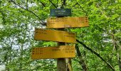 Trail Walking Doucier - randonnée des belvédère  - Photo 4
