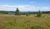 Tour Wandern Schönenberg - Champ du feu - Col de la Charbonnière - Belmont  - Photo 10