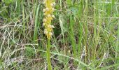 Tour Wandern Le Sauze-du-Lac - balade balcons du lac 300521 - Photo 1