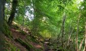 Trail Walking Aulus-les-Bains - Cascade de Fouillet Ariége - Photo 13