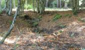 Randonnée Marche Astet - Col de la Chavade-Banne-Source de l'Ardèche - Photo 1