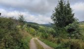 Tour Wandern Chalmazel-Jeansagnière - Au dessus de Chalmazel  - Photo 17