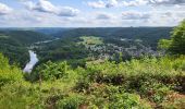 Trail Walking Vresse-sur-Semois - Allesur Semois 020625 - Photo 2