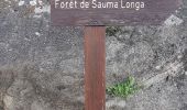Trail Walking Lantosque - Sauma Longa - Photo 12