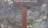 Tour Wandern Lantosque - Sauma Longa - Photo 12