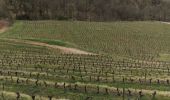 Randonnée Marche Clairvaux-d'Aveyron - Clairvaux les vignes  - Photo 5