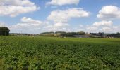 Tocht Elektrische fiets Ronse - Renaix - Nukerke - Koppenberg - schavaert - Photo 20