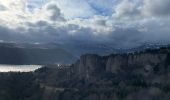 Excursión Senderismo Murol - Château de Murol, Lac charbon et dent du marais. - Photo 3