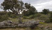 Excursión Senderismo Clansayes - Clansayes - Photo 9