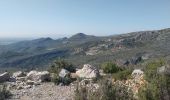 Trail Walking Aubagne - belle de mai 29fev24 - Photo 1