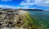 Trail Walking Camaret-sur-Mer - Boucle découverte Camaret village 6km - Photo 14