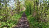 Trail Walking Theux - la reid . vert buisson . charmille / variante  - Photo 14