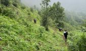 Trail Walking Bonac-Irazein - Sentier du port d’Orle - col du Tuc - Photo 4