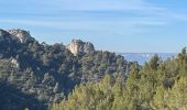 Tour Wandern La Roque-d'Anthéron - PF-La-Roque-d'Anthéron - La Chaîne des Côtes - Reco - Photo 14