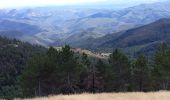 Trail Walking Val-d'Aigoual - cascades orgon - Photo 7