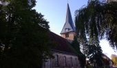 Tour Zu Fuß Schönwald - Wanderweg Reichwalde-Kasel-Golzig-Waldow - Photo 3