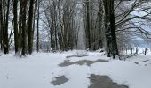 Randonnée Marche La Roche-en-Ardenne - Autour de Samree  - Photo 4