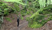 Trail On foot Waldbillig - W3 Hiking Tour - Photo 9
