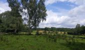 Trail Walking Orcines - Ballade au Puy de Cōme - Photo 18