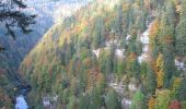 Percorso A piedi Les Planchettes - Barrage du Châtelot - Saut du Doubs - Photo 10