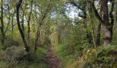 Trail Walking Saint-Antonin-Noble-Val - Saint Antonin Noble Val pat le cirque de Nibousou - Photo 11