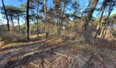 Trail Walking Herentals - Herentals 24,7 km - Photo 7