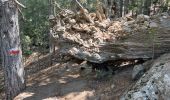 Trail Walking Conca - eta 2 - Photo 2