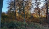 Randonnée Marche Esneux - tilff . bois des manants . ourthe  - Photo 6