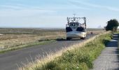 Tocht Stappen Le Vivier-sur-Mer - Circuit des grèves et marais - Photo 3