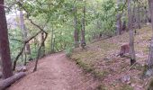 Trail Walking Châtel-Guyon - Vallée de Sans Souci - Photo 9