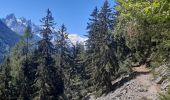 Excursión Senderismo Chamonix-Mont-Blanc - les Tines Planet lavancher par petit balcon - Photo 11