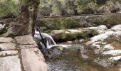 Randonnée Marche Mazaugues - Saut du Cabri gorges du Carami - Photo 9